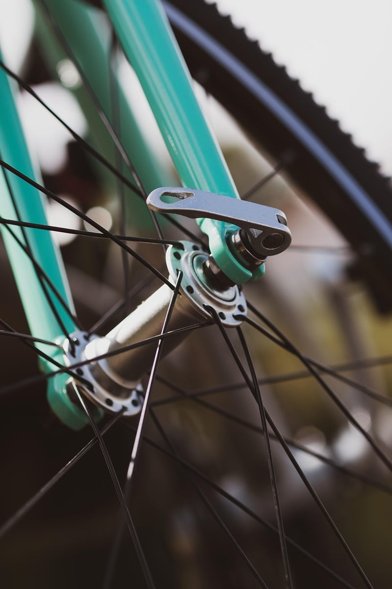 Bicycle Wheel Photo Display
